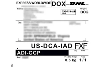 International Courier Delivery